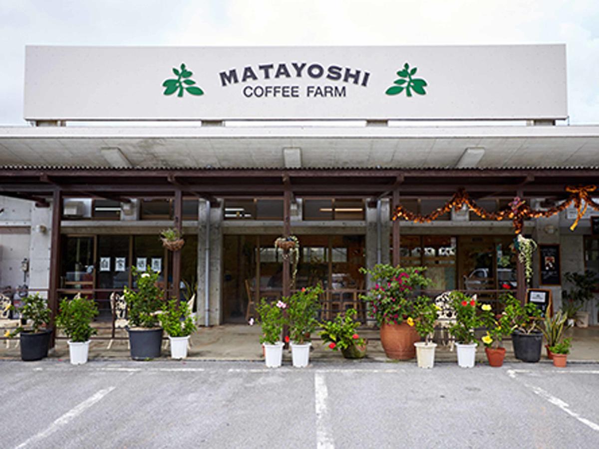 Matayoshi Coffee Farm Villa Higasi Kültér fotó
