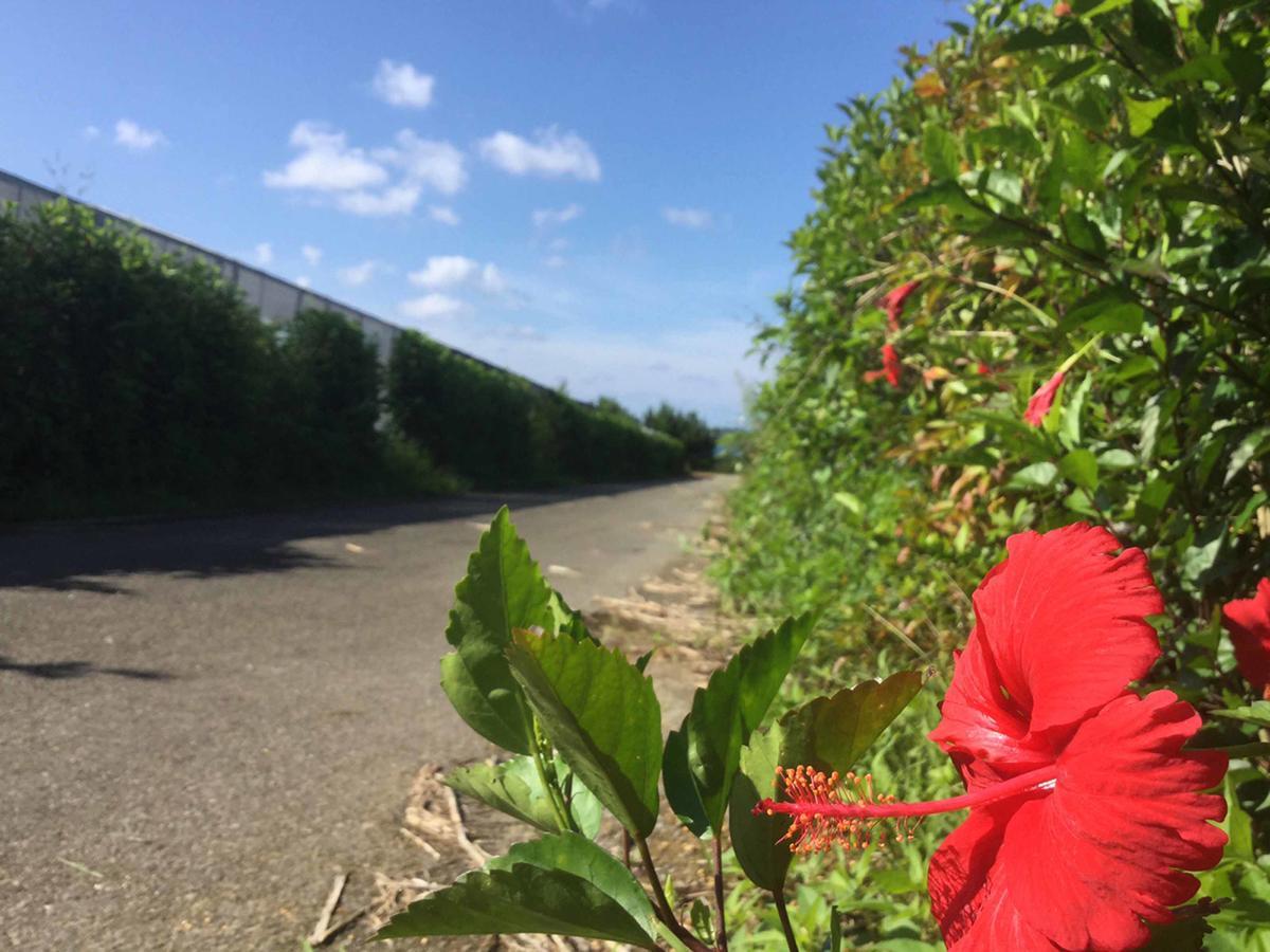 Matayoshi Coffee Farm Villa Higasi Kültér fotó